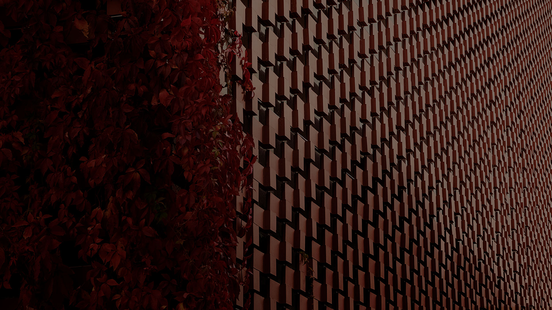 Flexbrick Flexbrick
