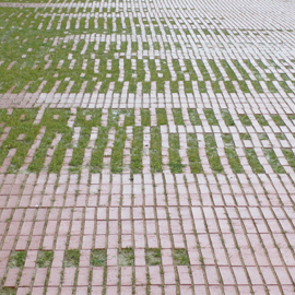 Jardin Niel
