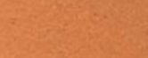 Terracota 8